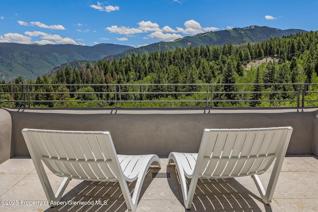 401 Eagle Park Dr, Aspen, CO 81611 - photo 87