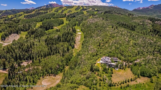 401 Eagle Park Dr, Aspen, CO 81611 - photo 96