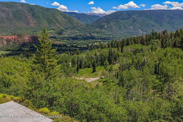 401 Eagle Park Dr, Aspen, CO 81611 - photo 89