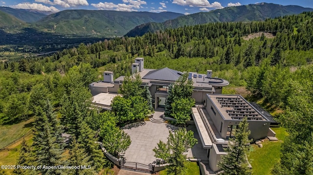 401 Eagle Park Dr, Aspen, CO 81611 - photo 100