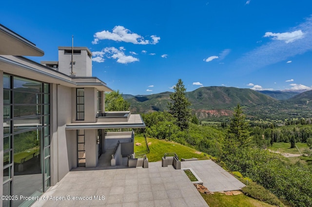 401 Eagle Park Dr, Aspen, CO 81611 - photo 88