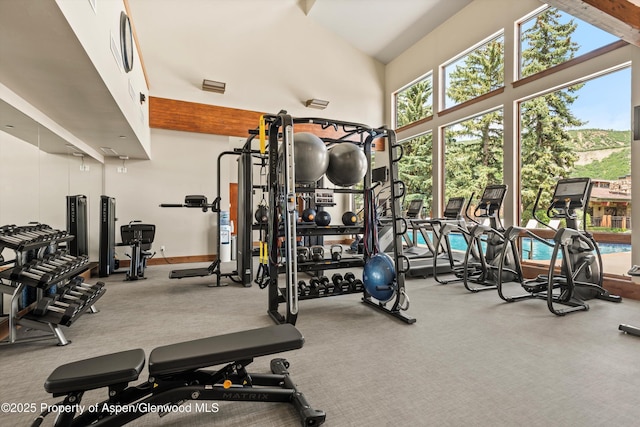 300 Carriage Way 623 & 625, Snowmass Village, CO 81615 - exercise room featuring carpet and a high ceiling