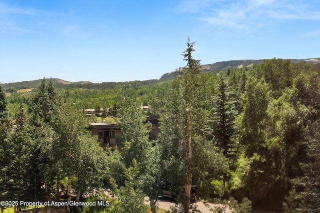300 Carriage Way 623 & 625, Snowmass Village, CO 81615 - view of mountain background featuring a heavily wooded area