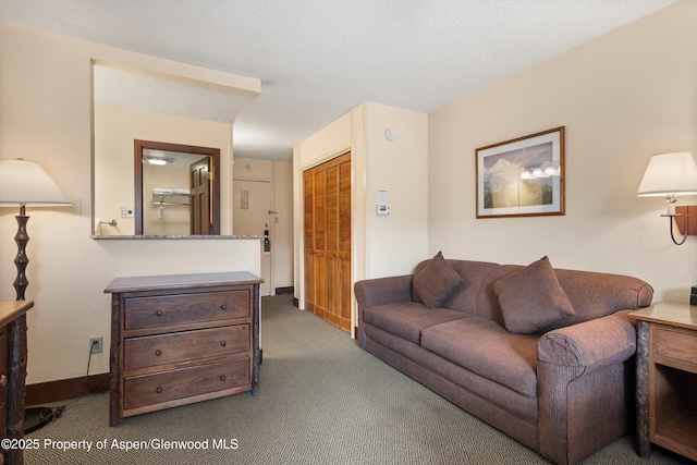 300 Carriage Way 623 & 625, Snowmass Village, CO 81615 - living area featuring carpet flooring and baseboards