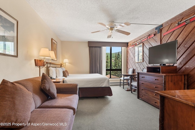 300 Carriage Way 623 & 625, Snowmass Village, CO 81615 - carpeted bedroom featuring a textured ceiling and a baseboard radiator