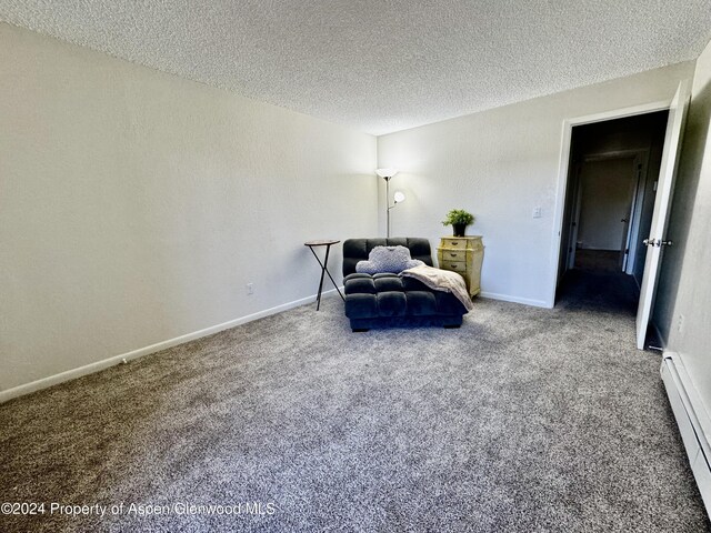 living area featuring baseboard heating, carpet, and a textured ceiling