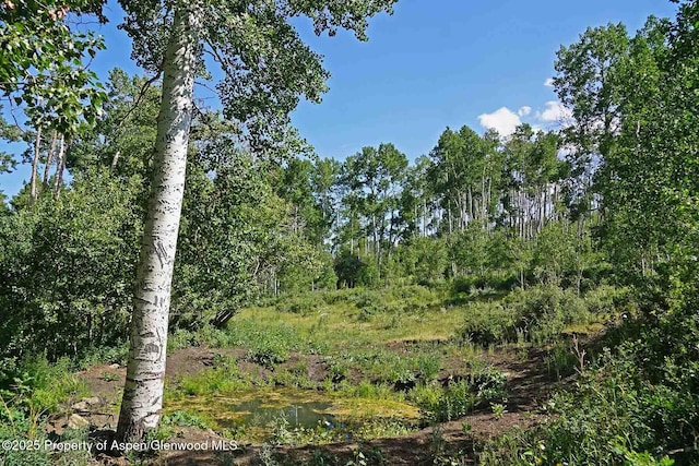 2650 Sweetwater Rd, Gypsum, CO 81637 - photo 67