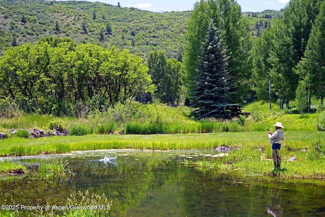 2650 Sweetwater Rd, Gypsum, CO 81637 - photo 28