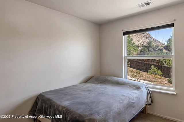2618 Apache Ct, Rifle, CO 81650 - view of bedroom