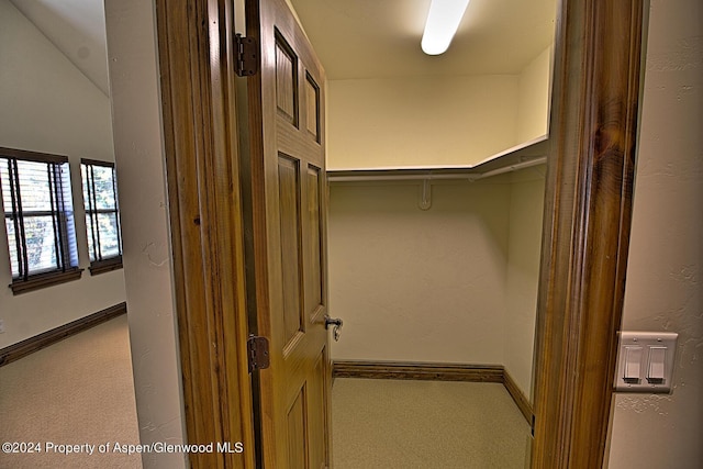 walk in closet featuring carpet