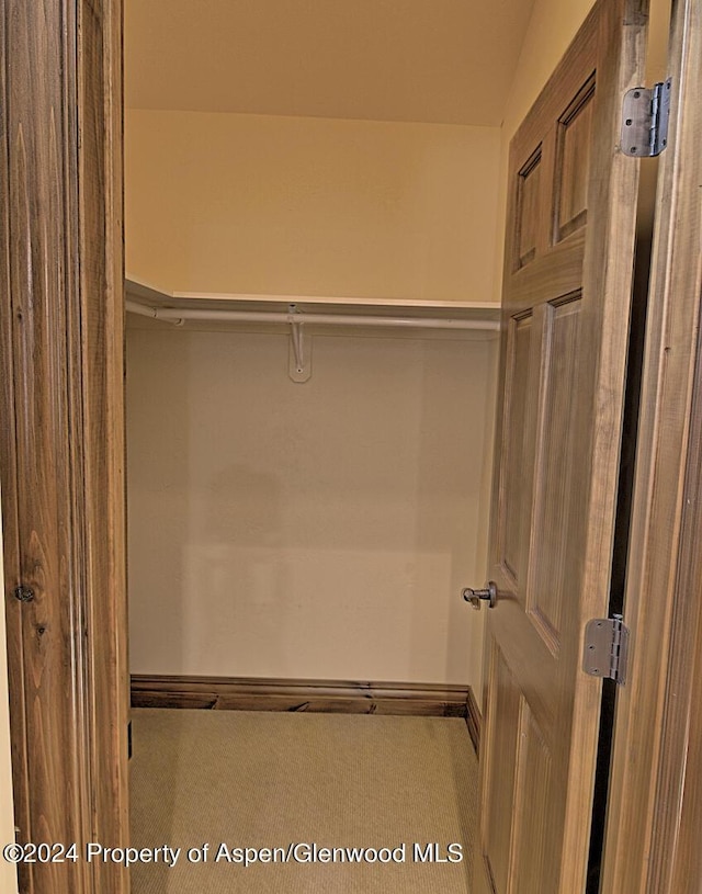 walk in closet with carpet flooring and lofted ceiling