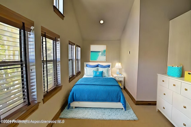 bedroom featuring vaulted ceiling