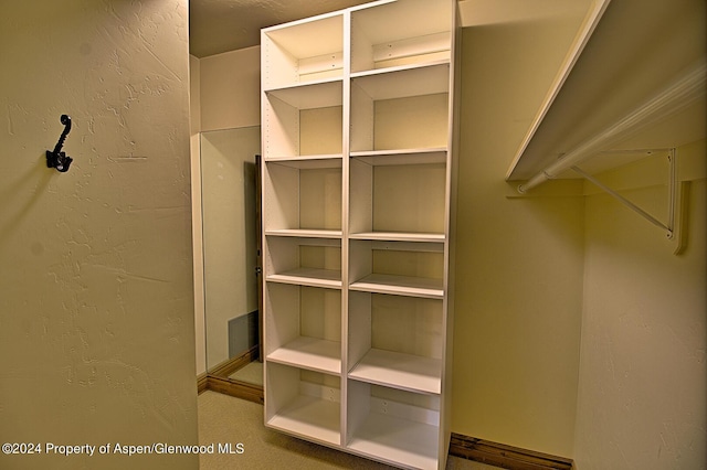 view of spacious closet