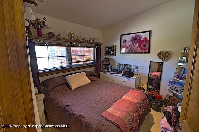 bedroom featuring lofted ceiling