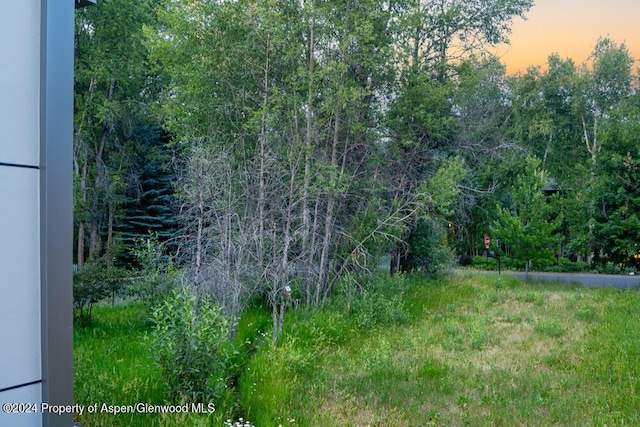 view of nature at dusk