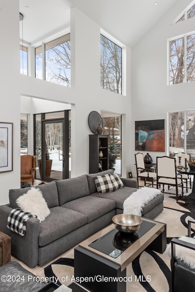 living room with high vaulted ceiling