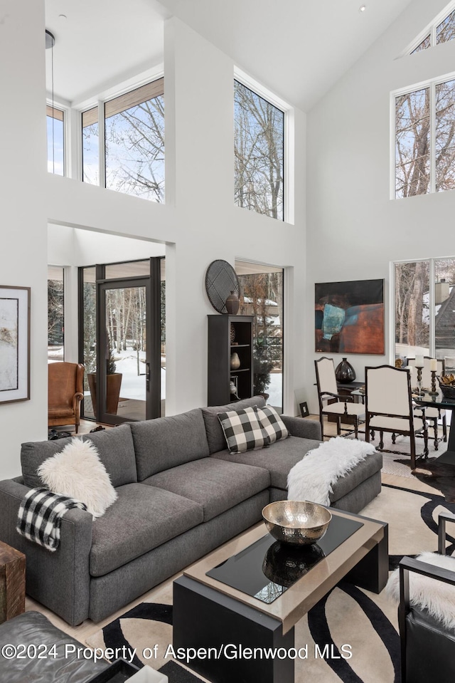 813 W Smuggler St, Aspen, CO 81611 - photo 8