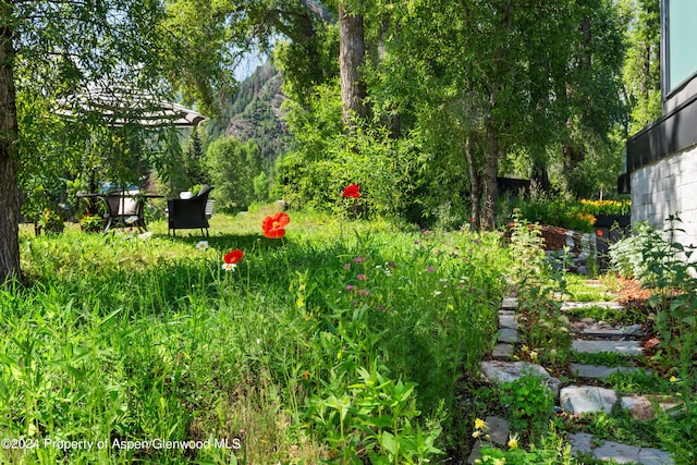 813 W Smuggler St, Aspen, CO 81611 - photo 13