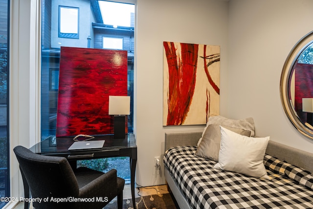 813 W Smuggler St, Aspen, CO 81611 - photo 56