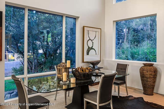 dining space featuring hardwood / wood-style floors