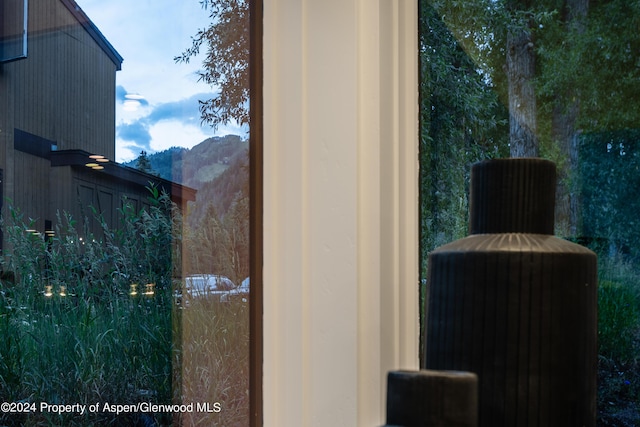 813 W Smuggler St, Aspen, CO 81611 - photo 46