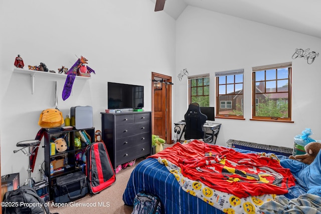 212 Juniper Ct, Basalt, CO 81621 - photo 17