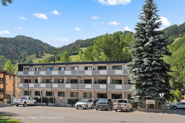 100 E Dean St Unit 2D, Aspen, CO 81611 - photo 21