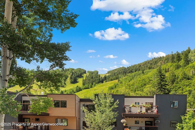 100 E Dean St Unit 2D, Aspen, CO 81611 - photo 13