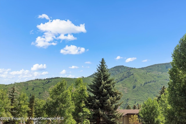 100 E Dean St Unit 2D, Aspen, CO 81611 - photo 16