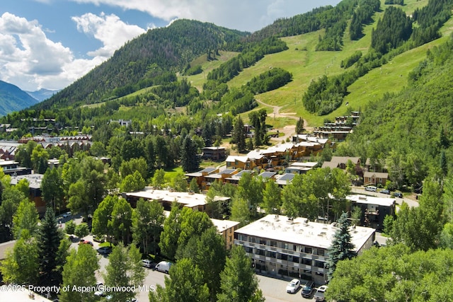 100 E Dean St Unit 2D, Aspen, CO 81611 - photo 22
