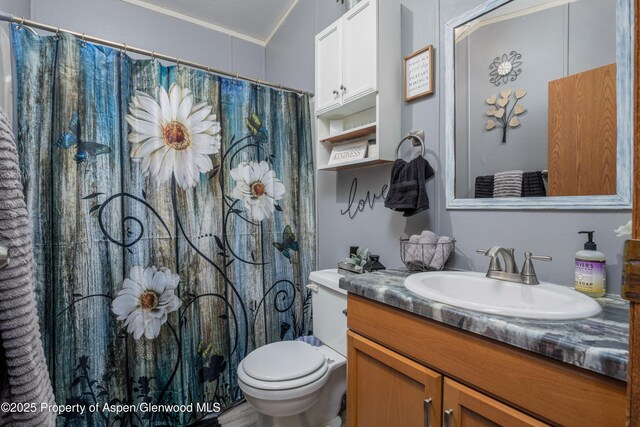 435 32nd Rd Unit 705, Clifton, CO 81520 - bathroom with vanity, ornamental molding, and curtained shower
