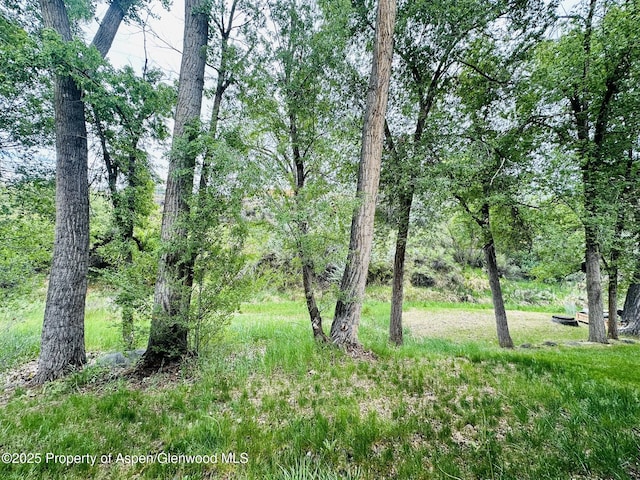 1024 E Ave, Rifle, CO 81650 - view of undeveloped land