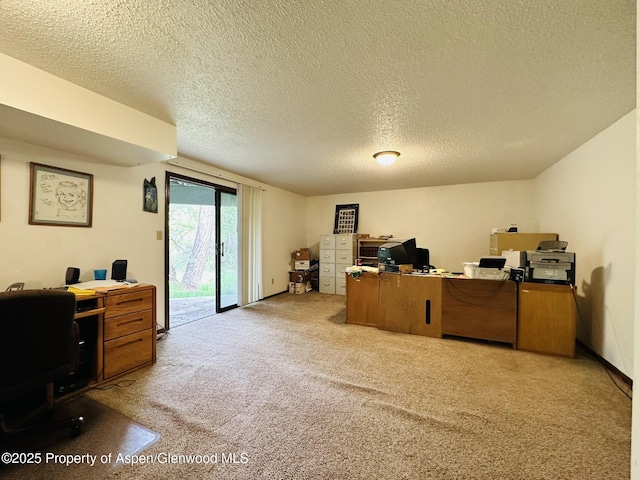 1024 E Ave, Rifle, CO 81650 - office featuring light colored carpet and a textured ceiling