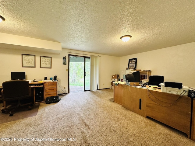 1024 E Ave, Rifle, CO 81650 - carpeted office with a textured ceiling