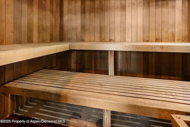 600 Carriage Way Unit L-12, Snowmass Village, CO 81615 - sauna / steam room with wood walls