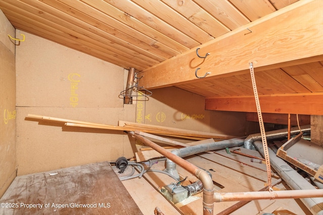 600 Carriage Way Unit L-12, Snowmass Village, CO 81615 - view of storage room