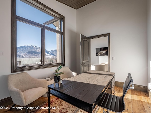 office area with a mountain view and light hardwood / wood-style flooring