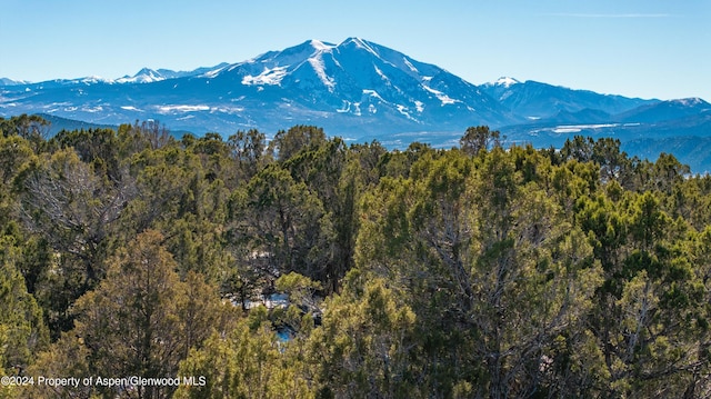 2191 Elk Springs Dr, Glenwood Springs CO, 81601 land for sale