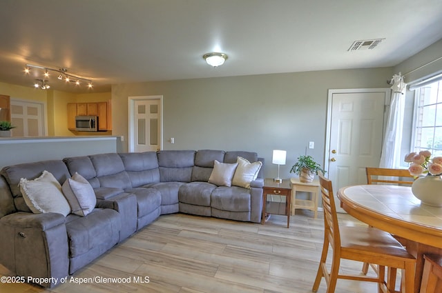 41 Angelica Cir, Parachute, CO 81635 - living room featuring light wood-style flooring
