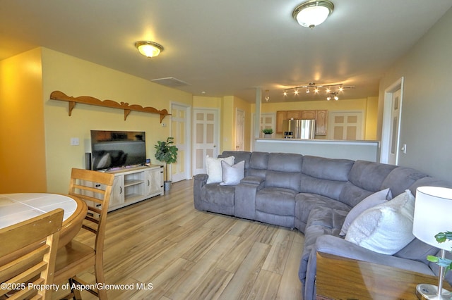 41 Angelica Cir, Parachute, CO 81635 - living room featuring light wood-style floors