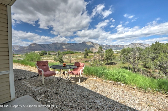 41 Angelica Cir, Parachute, CO 81635 - view of yard with a mountain view and a patio area