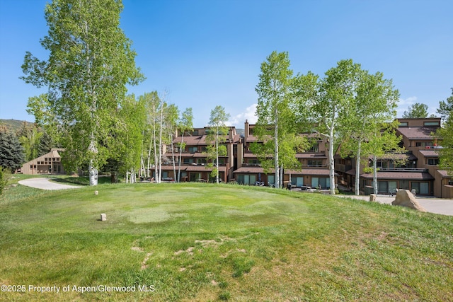 294 Snowmass Club Cir Unit 1205, Snowmass Village, CO 81615 - photo 3