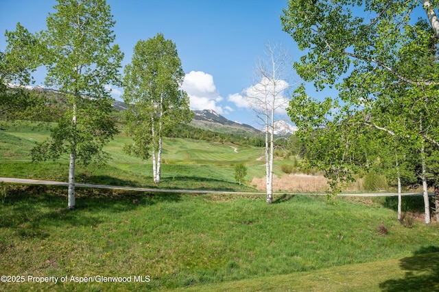 294 Snowmass Club Cir Unit 1205, Snowmass Village, CO 81615 - photo 16