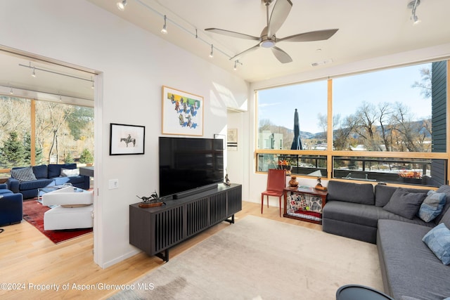 living room featuring ceiling fan and hardwood / wood-style floors