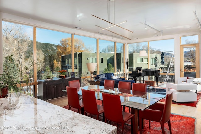 sunroom / solarium featuring a mountain view and a healthy amount of sunlight