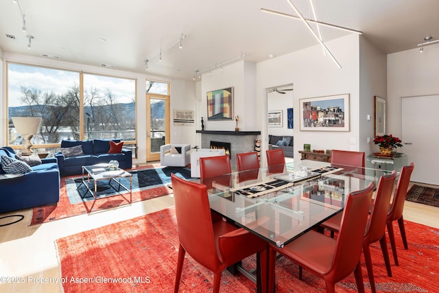 dining space featuring ceiling fan, track lighting, and wood-type flooring