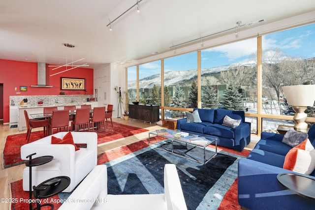 living room featuring light wood-type flooring, a healthy amount of sunlight, a mountain view, and rail lighting