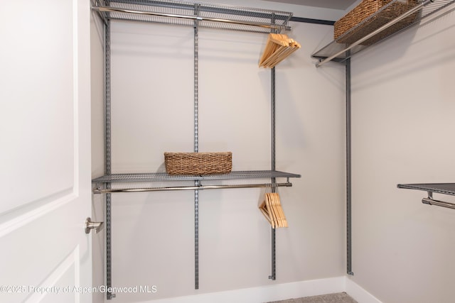 253 Wulfsohn Rd Unit 122, Glenwood Springs, CO 81601 - view of walk in closet
