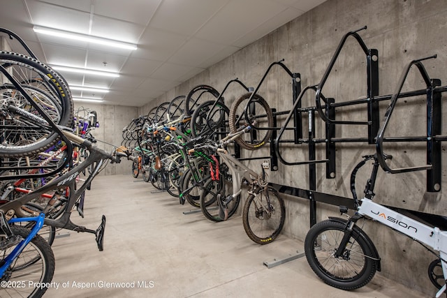 253 Wulfsohn Rd Unit 122, Glenwood Springs, CO 81601 - garage featuring bike storage