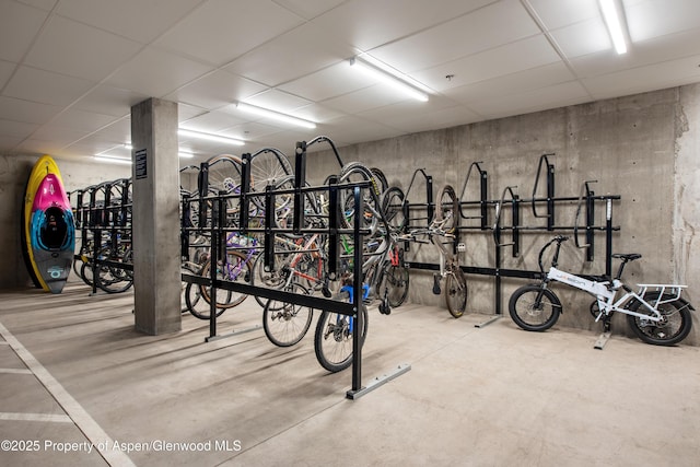 253 Wulfsohn Rd Unit 122, Glenwood Springs, CO 81601 - garage featuring bike storage